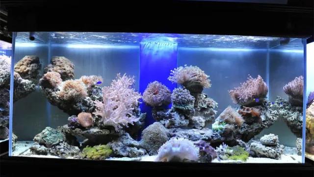 家中旺位和衰位在哪里？三分鐘學習室內風水學
