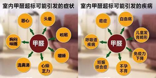 畢業(yè)季&租房季 清楚這幾點(diǎn)就能避開甲醛超標(biāo)公寓