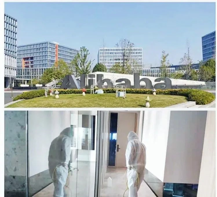 吾志所向，一往無前 | 創(chuàng)綠家2020年大事記