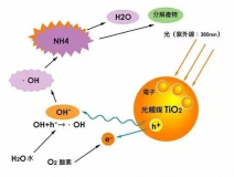杭州除甲醛的優(yōu)效方法有哪些？