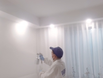 什么辦法去除甲醛比較好？
