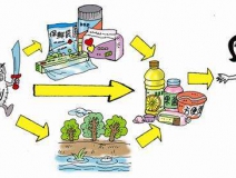 食品中有塑化劑嗎？這些食品中含有大量塑化劑，食用時(shí)一定要注意！