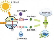 冷觸媒，暗觸媒，風(fēng)觸媒是怎樣的甲醛治理方式？