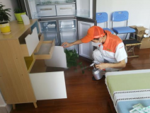 除甲醛公司是否靠譜？靠譜的公司有哪些特點？